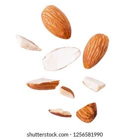 Nuts Explode 的图像结果