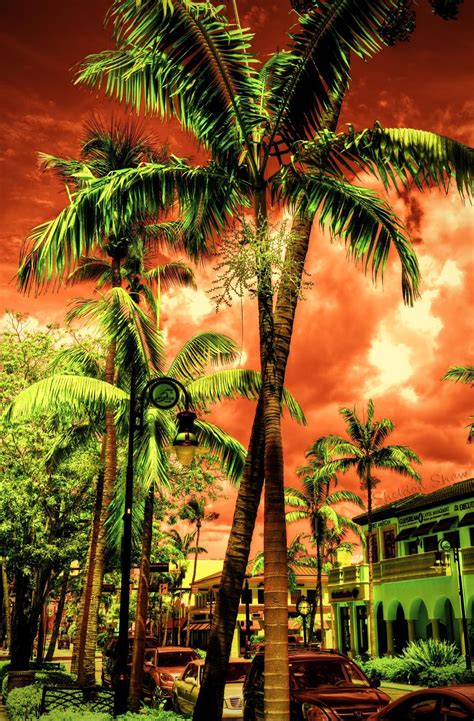 Royal Palm Club Naples