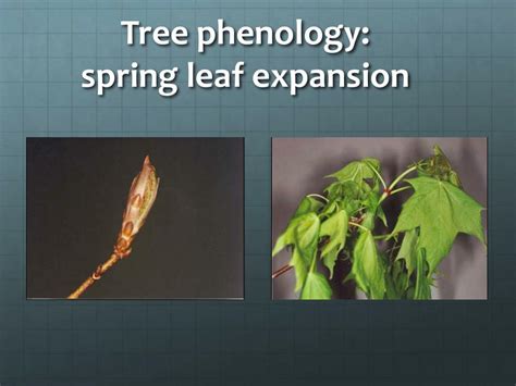 Image result for Climate Change Spring Temperature