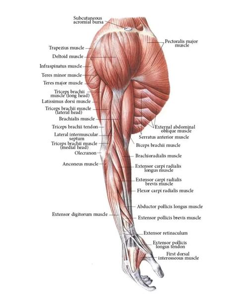 Medical Points | Spot diagnosis? Patient presents with this swelling in ...