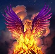 Image result for phoenix