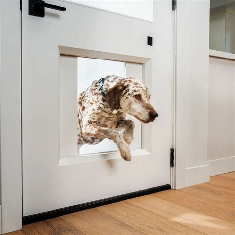 Why Chamberlain built a $3,000 automatic garage door for your dog | Pet ...