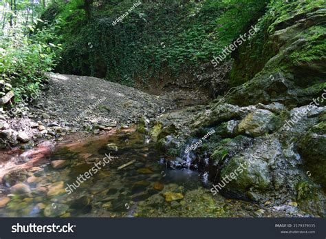 Image result for Example of a Spring Water Source