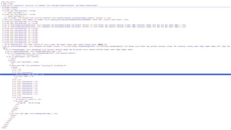 XPath Python Selenium 的图像结果