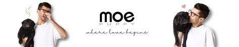 Amazon.in: Moe Puppy: Itchy & Irritated Skin