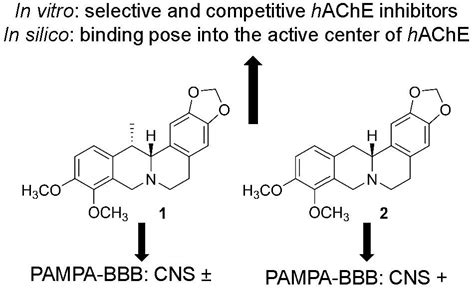 In Vitro and In Silico Acetylcholinesterase Inhibitory Activity of ...
