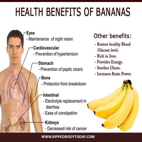 Health Benefits With Bananas at Eric Mullins blog