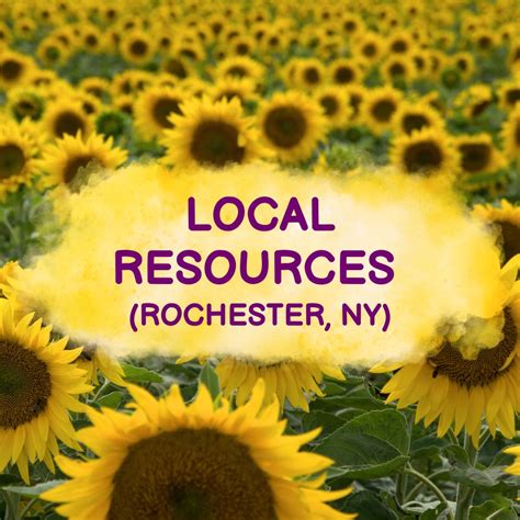 Local Resources 的图像结果