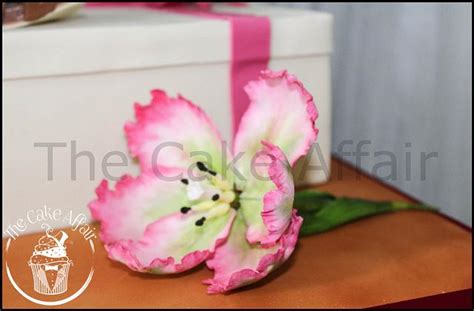 Image result for Open Shoe Box Cake Tutorials