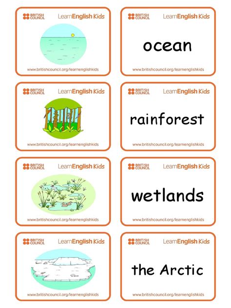 Environment Flashcard 的图像结果