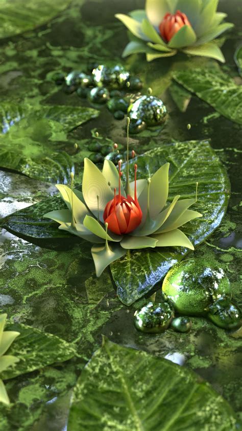 Download wallpaper 1080x1920 water lily, lotus, flower, green samsung ...