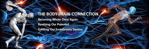 Image result for Brain Body Connection