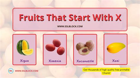 Fruits that start with X | Fruit list, Cute quotes for girls, Fruit names