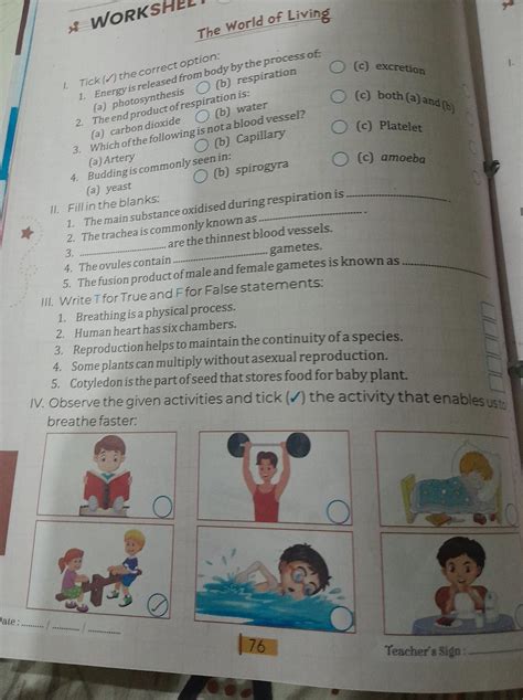 Image result for Brainilis Questions