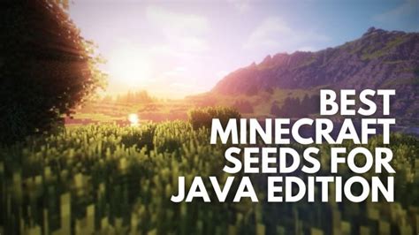 Image result for Minecraft Java Edition Seeds