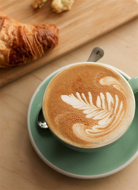 Netaxis IT Solutions (P) Ltd - Anna Nagar Chennai