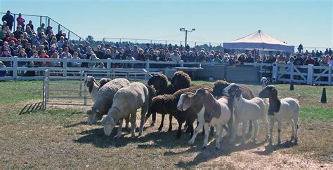 The Deerfield Fair 2025 [09/25/25]