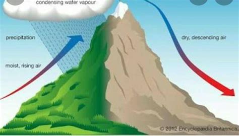 Draw a neat labelled diagram of Orographic rainfall and explain it in 2 ...