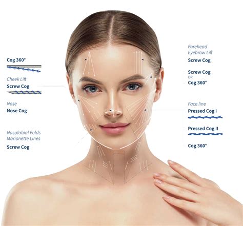 Image result for Contour Threads