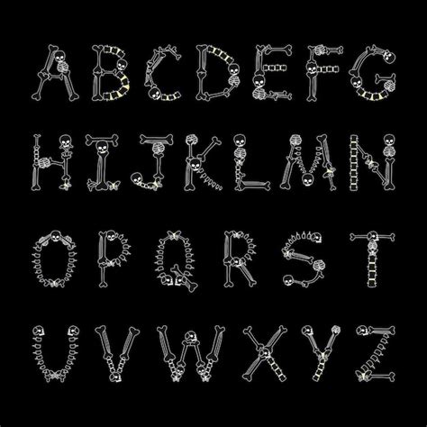 Alfabet kości Czcionka kości Czaszka kręgosłup szczęka i miednica ...