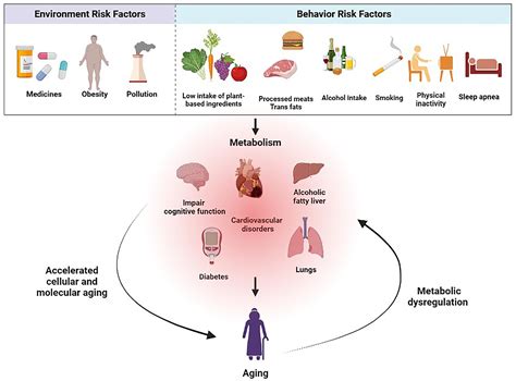 Effects of Hormones on Behavior, Health, and Aging