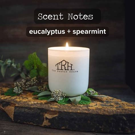 Eucalyptus + Spearmint Candle at The Rustic House