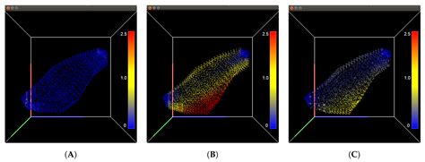 Muscle Head Model Computer Graphics Simulation 的图像结果