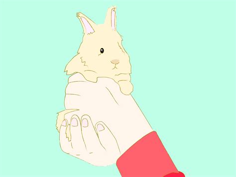 How To Pet A Wild Bunny at Ryan Mcgovern blog