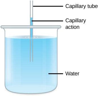 Image result for Topic for Computer Science File Handling