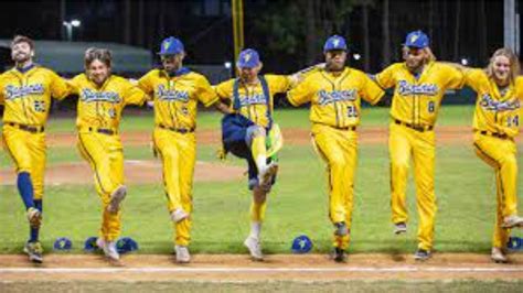 WATCH: Fans cannot stop chuckling at Savannah Bananas' ABBA tribute in ...