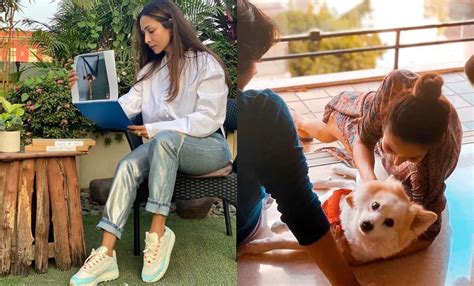 In Pics: Malaika Arora's Mumbai Flat Worth Rs 14.5 Crore Comes With ...