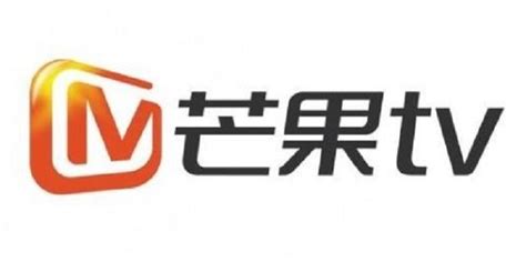 山东卫视logo设计理念_山东卫视logo设计理念分享展示