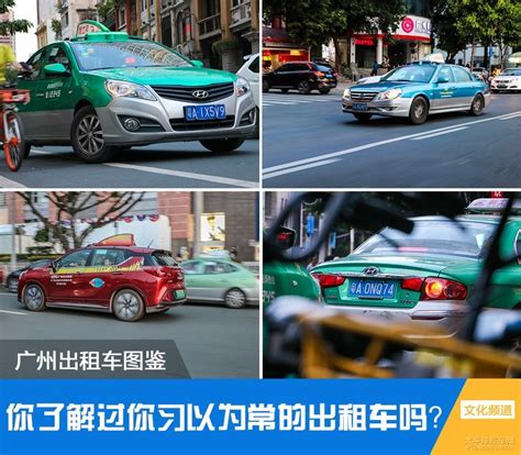 在广州，出租车的颜色比你的生活还要多彩_太平洋汽车网