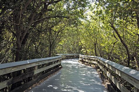 Clam Pass Park | Collier County Parks & Recreation