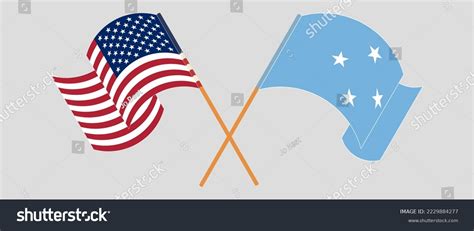 Image result for FSM State Flag Map