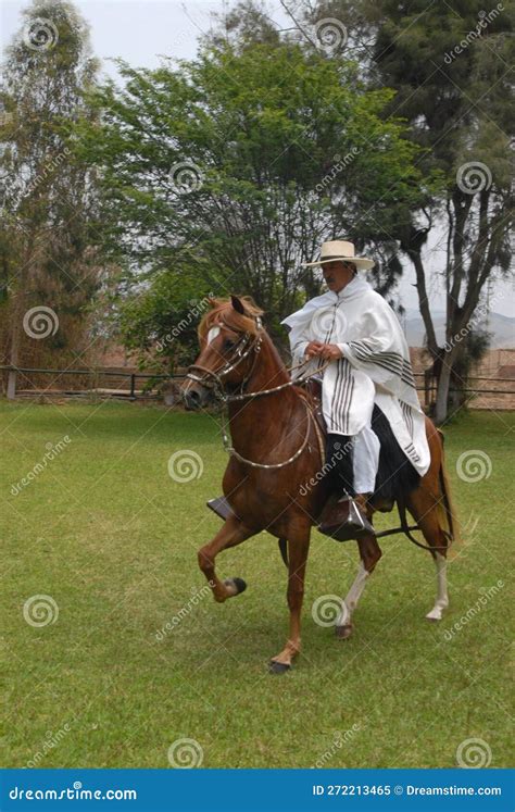 PERU Peruvian Paso Horses Being Ridden by Men in Traditional Clothing ...
