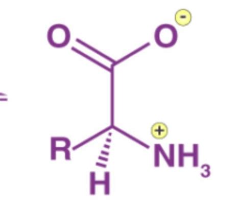 Zwitterion structure of alanine - Brainly.in