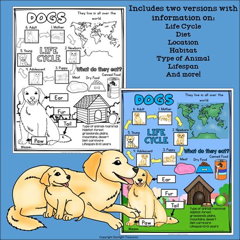 Dogs for 1st Graders Science 的图像结果
