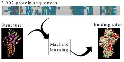 Annotation and Analysis of 3902 Odorant Receptor Protein Sequences from ...