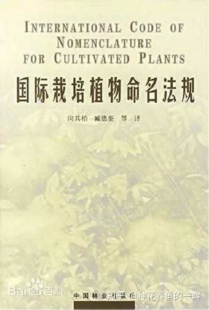 西安植物园2个玉兰新品种等您来起名--陕西省西安植物园 陕西省植物研究所
