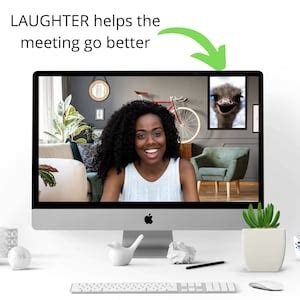 Buy Zoom Cat Png, Zoom Virtual Background Image, Zoom Meeting ...