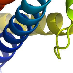 Image result for PyMOL Ray Tracing