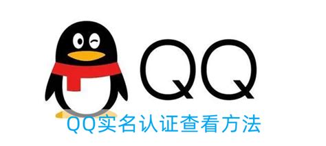 QQ怎么进行实名认证？QQ实名认证的方法 - QQ实名认证的方法 - 青豆软件园
