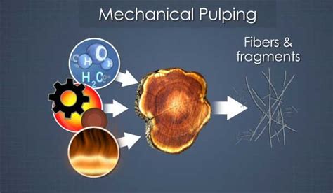 Image result for Paper Pulping