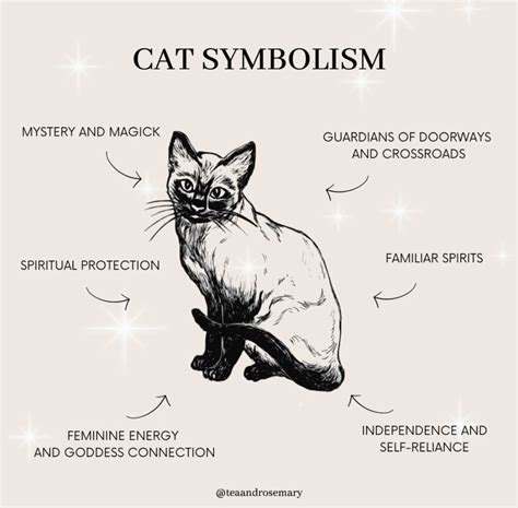 Cat symbolism – Artofit