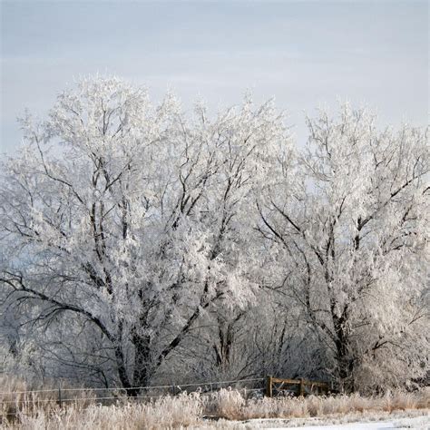 SHOSHONE RIVER (2025) All You Need to Know BEFORE You Go (with Photos ...
