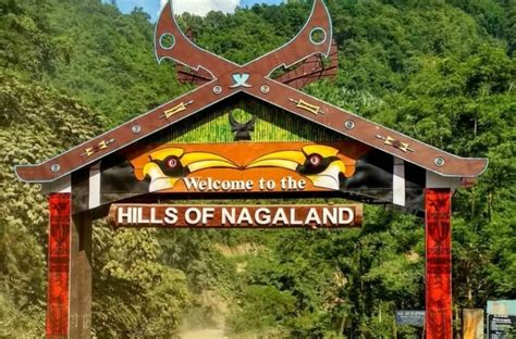 Home - Pharmacy Council of India, Ministry of Health & Family Welfare ...