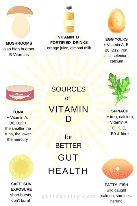 Vitamin D for Immune System Support - Gutidentity - | Vitamins, Vitamin d, Diet and nutrition