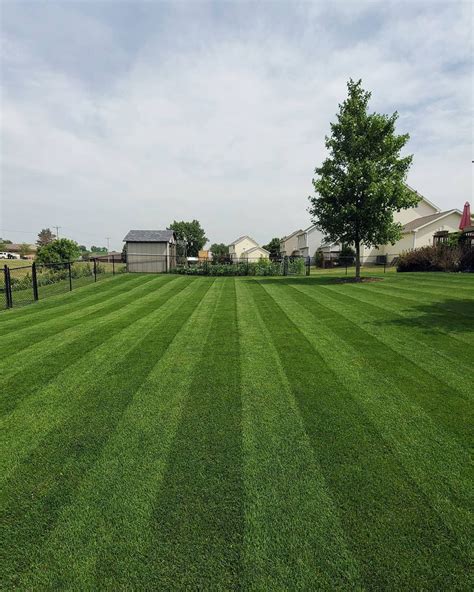 The Best Grass Seed For Iowa Lawns