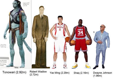 Tonowari's height compared to some of the tallest humans in the world ...